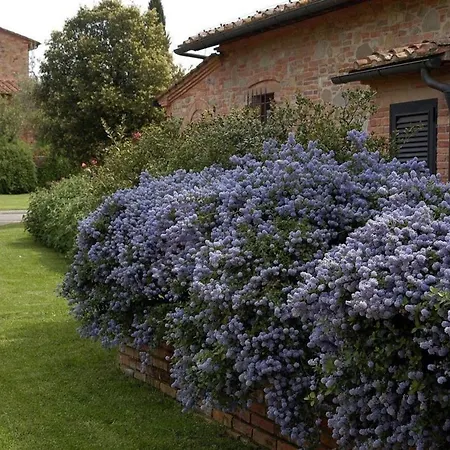Lägenhet Le Colline Querce (Lucca)